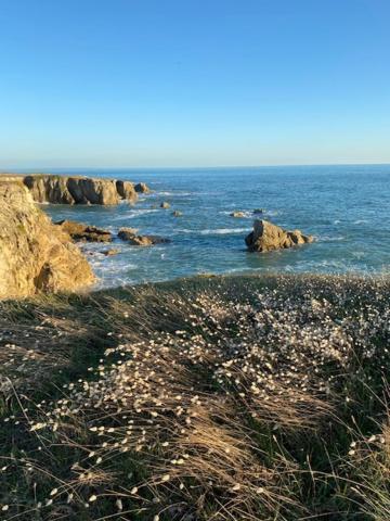 Agreable 300m Cote Sauvage Appartement Le Pouliguen